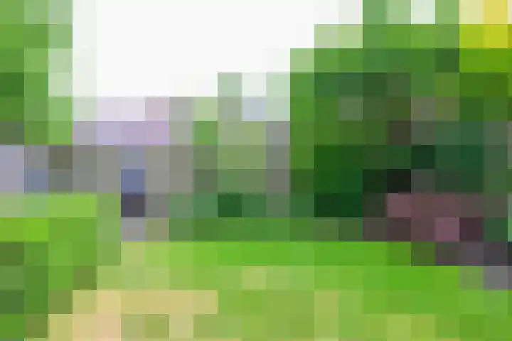 Blauwebalg 10 Wieringerwerf thumbnail 23