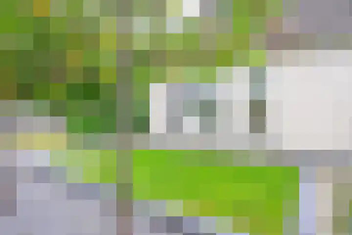 Blauwebalg 10 Wieringerwerf thumbnail 26