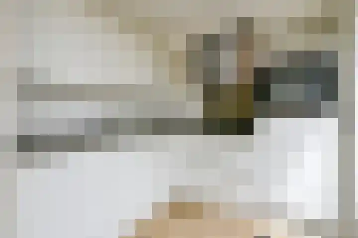 Blauwebalg 10 Wieringerwerf thumbnail 5