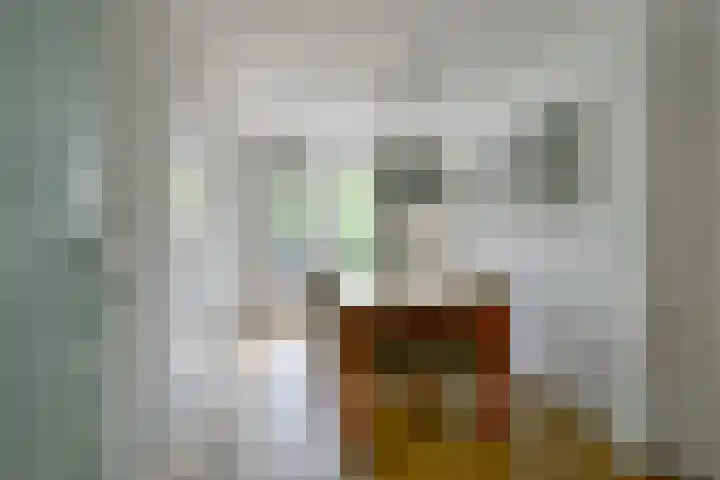 Blauwebalg 10 Wieringerwerf thumbnail 9
