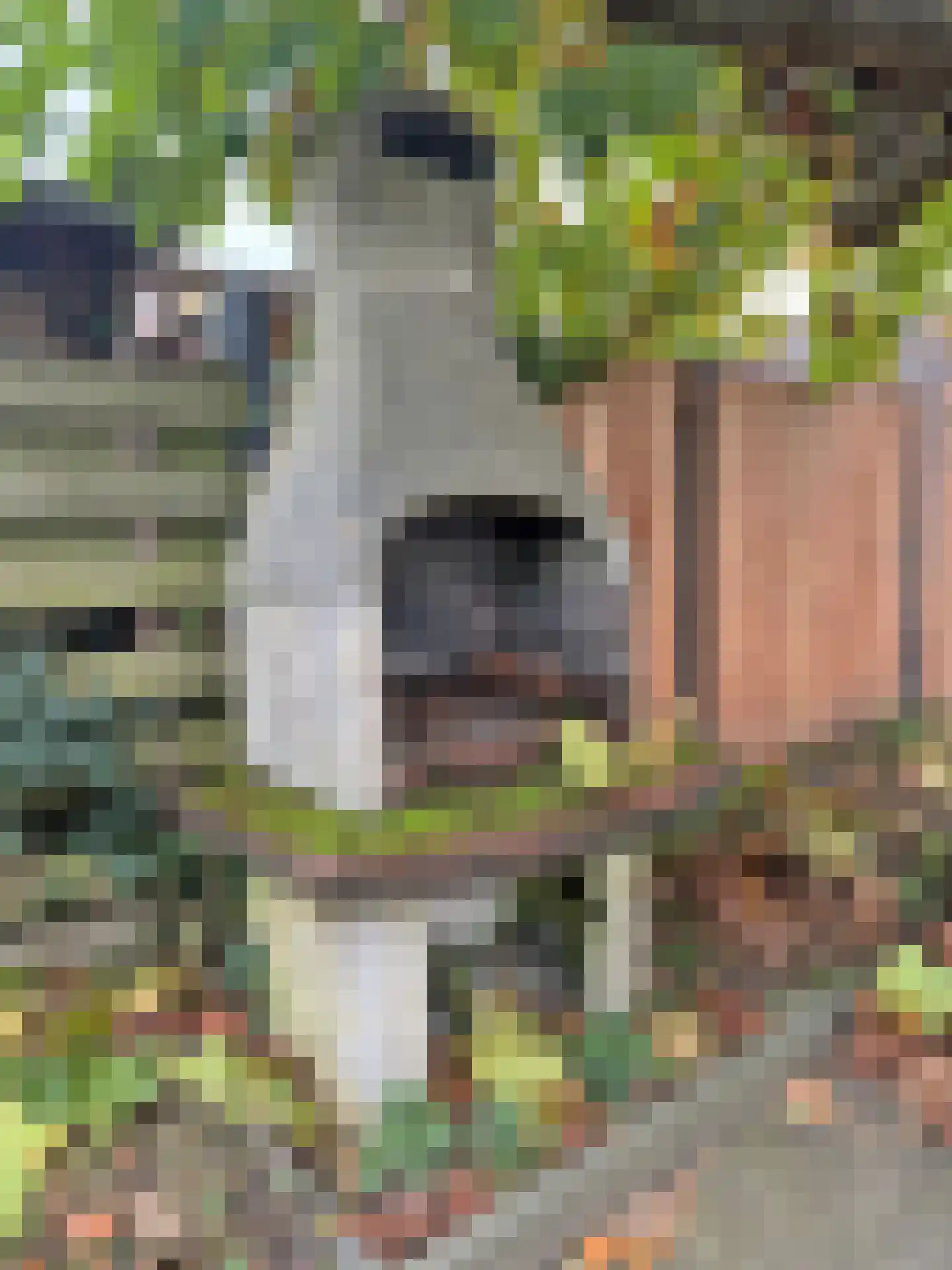 Blauwebalg 2 Wieringerwerf thumbnail 39