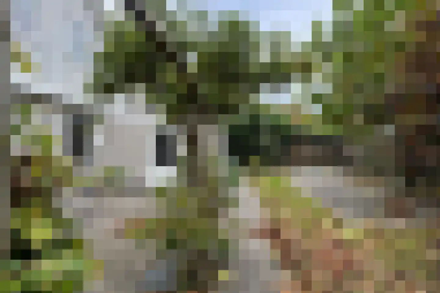 Blauwebalg 2 Wieringerwerf thumbnail 42