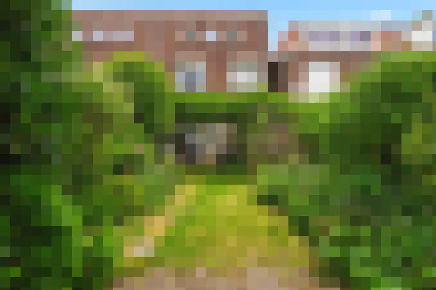 Blauwedijk 19 Middelburg thumbnail 29