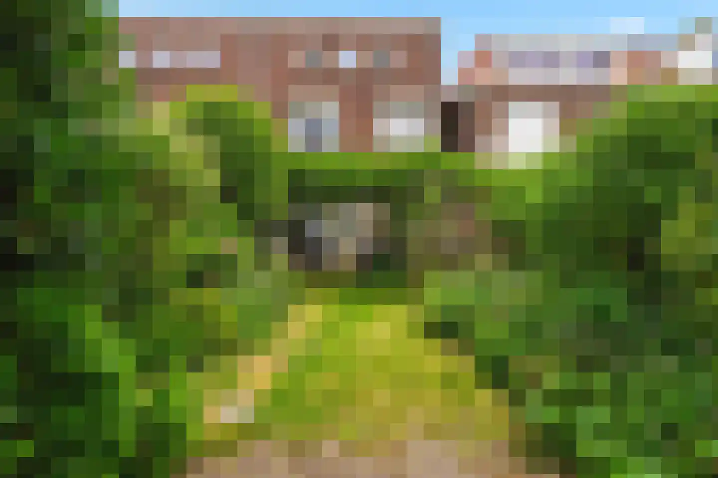 Blauwedijk 19 Middelburg thumbnail 29