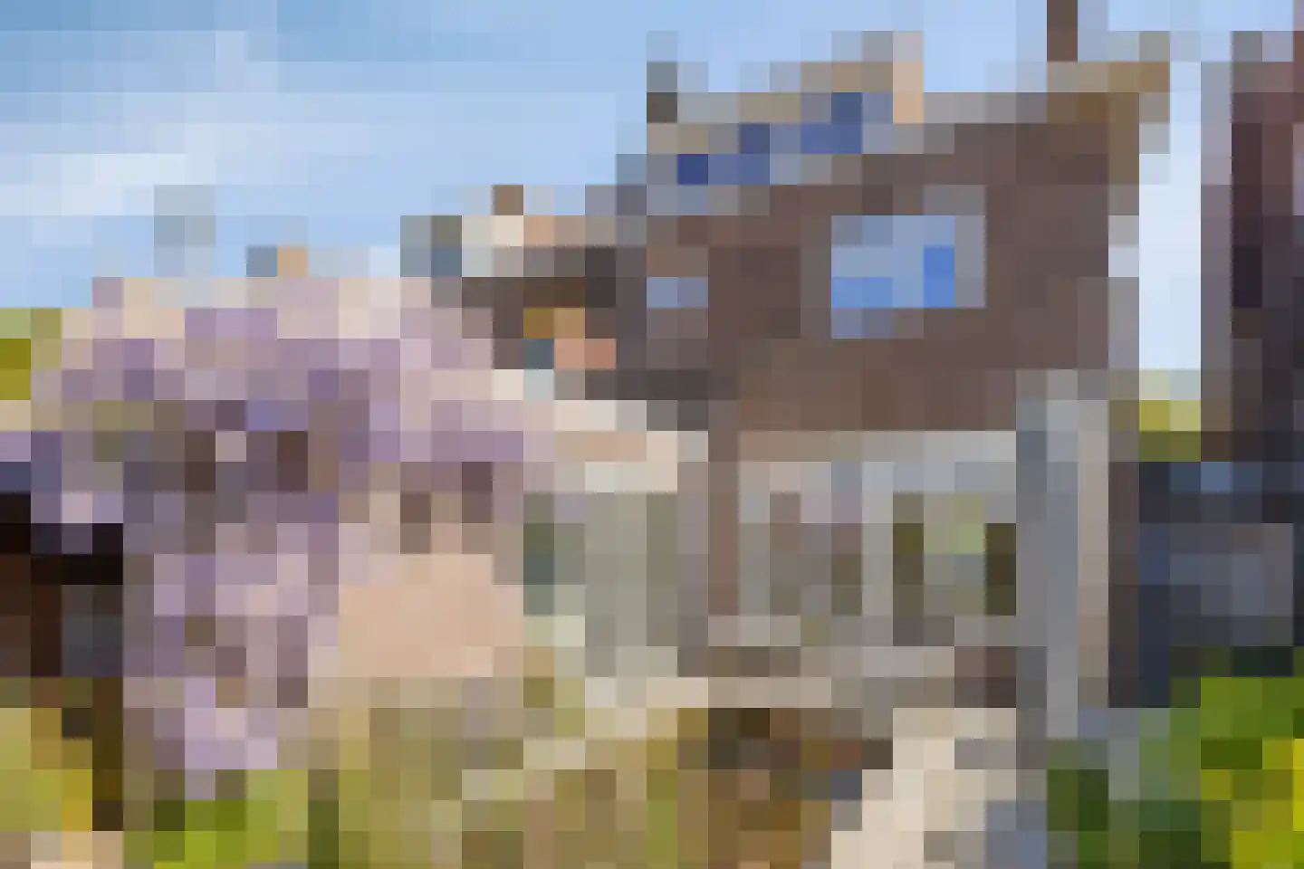 Blauwedijk 25 Middelburg thumbnail 4