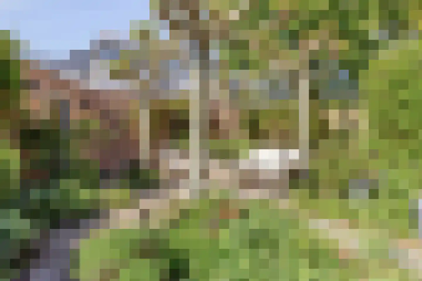 Blauwedijk 25 Middelburg thumbnail 49