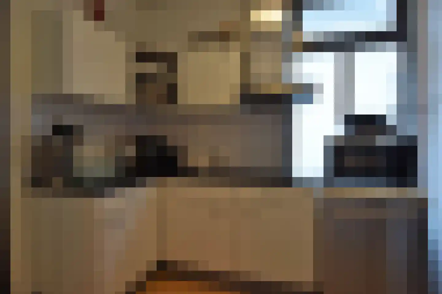 Blauwehandstraat 8 Bergen op Zoom thumbnail 12