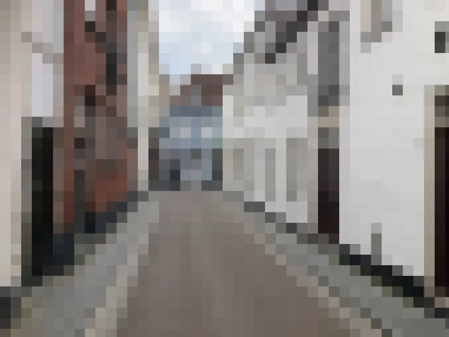 Blauwehandstraat 8 Bergen op Zoom thumbnail 28
