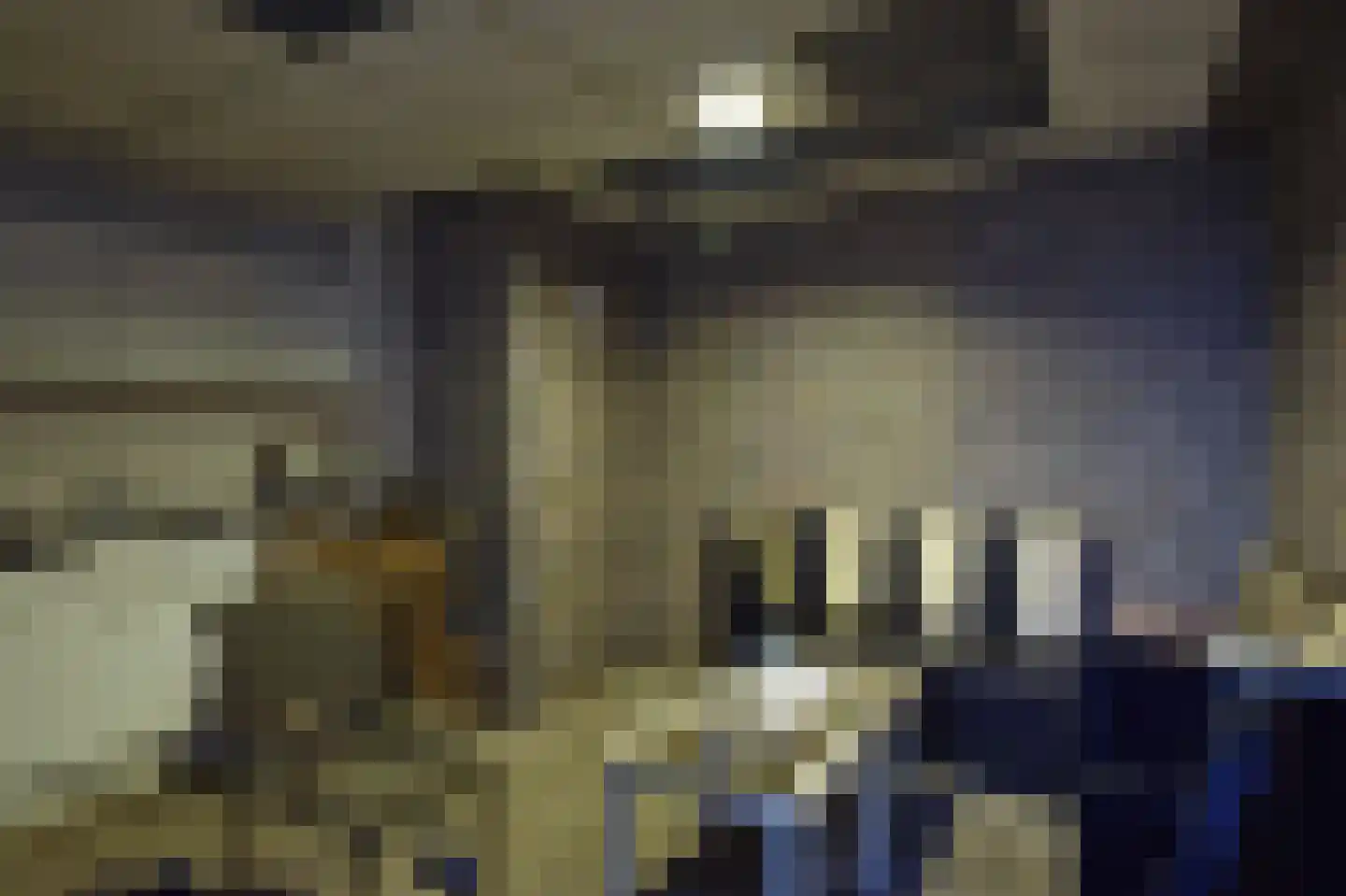 Blauwehandstraat 8 Bergen op Zoom thumbnail 6
