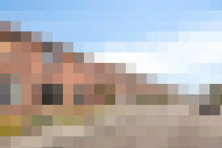 Blauwensteenweg 9 Stein thumbnail 34