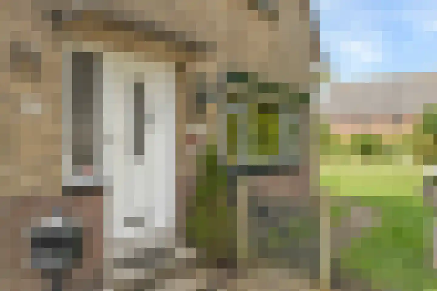 Blauwesteenweg 15 Westmaas thumbnail 4