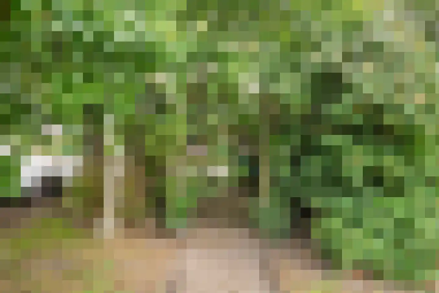 Blauwesteenweg 15 Westmaas thumbnail 43