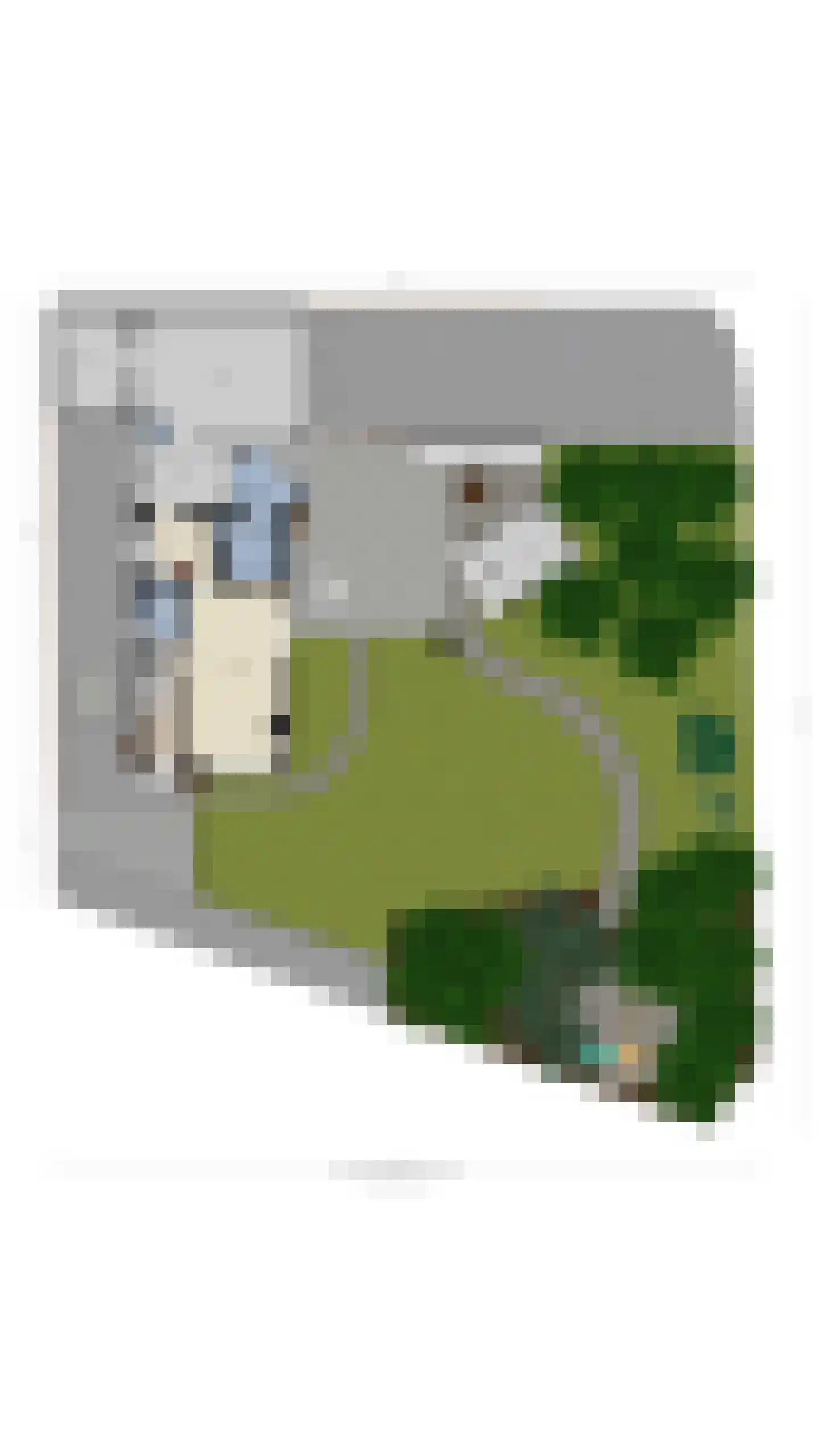 Blauwesteenweg 15 Westmaas thumbnail 52