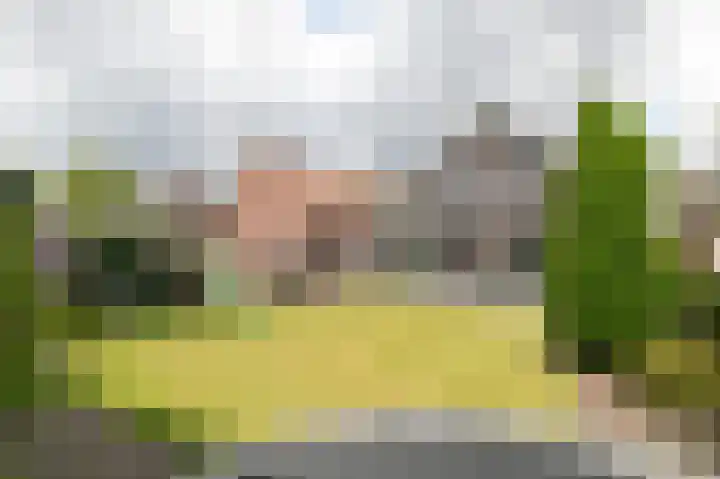 Blauwesteenweg 16 Nistelrode thumbnail 5