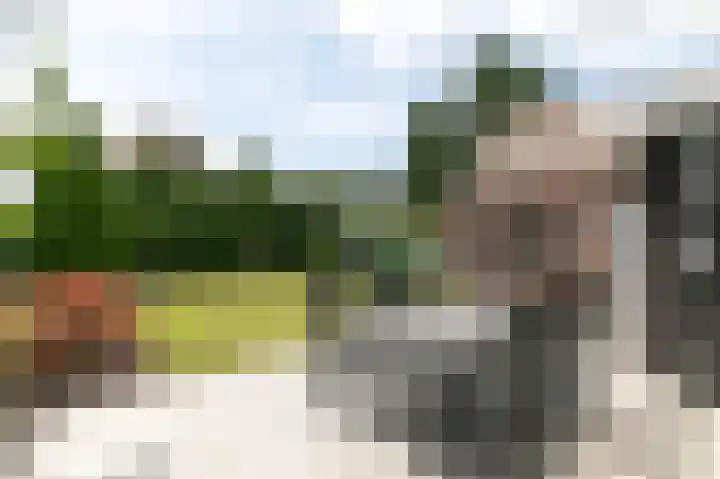 Blauwesteenweg 16 Nistelrode thumbnail 51