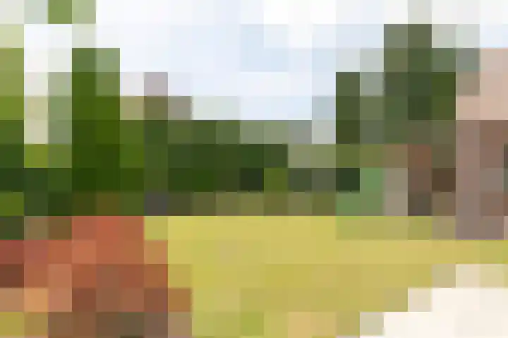 Blauwesteenweg 16 Nistelrode thumbnail 52