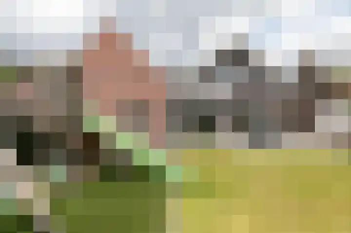 Blauwesteenweg 16 Nistelrode thumbnail 53