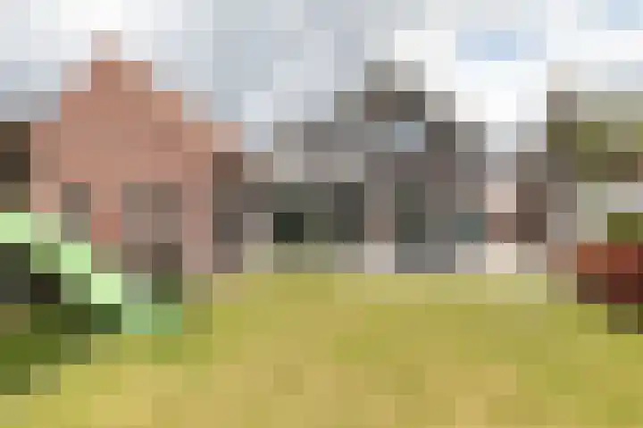 Blauwesteenweg 16 Nistelrode thumbnail 54