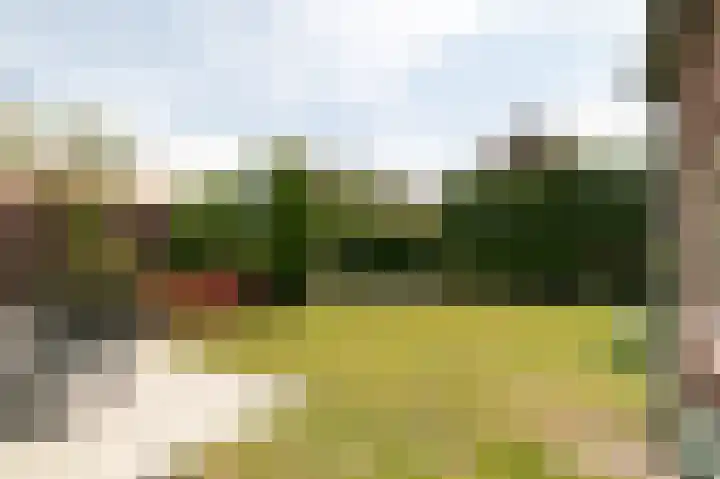 Blauwesteenweg 16 Nistelrode thumbnail 56