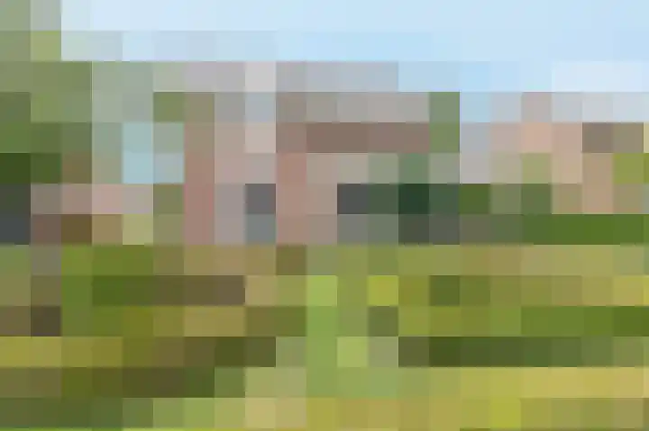 Blauwesteenweg 16 Nistelrode thumbnail 58