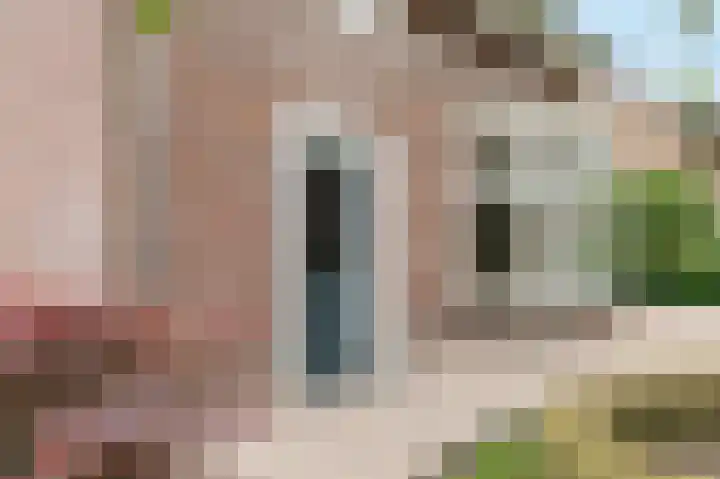 Blauwesteenweg 16 Nistelrode thumbnail 59