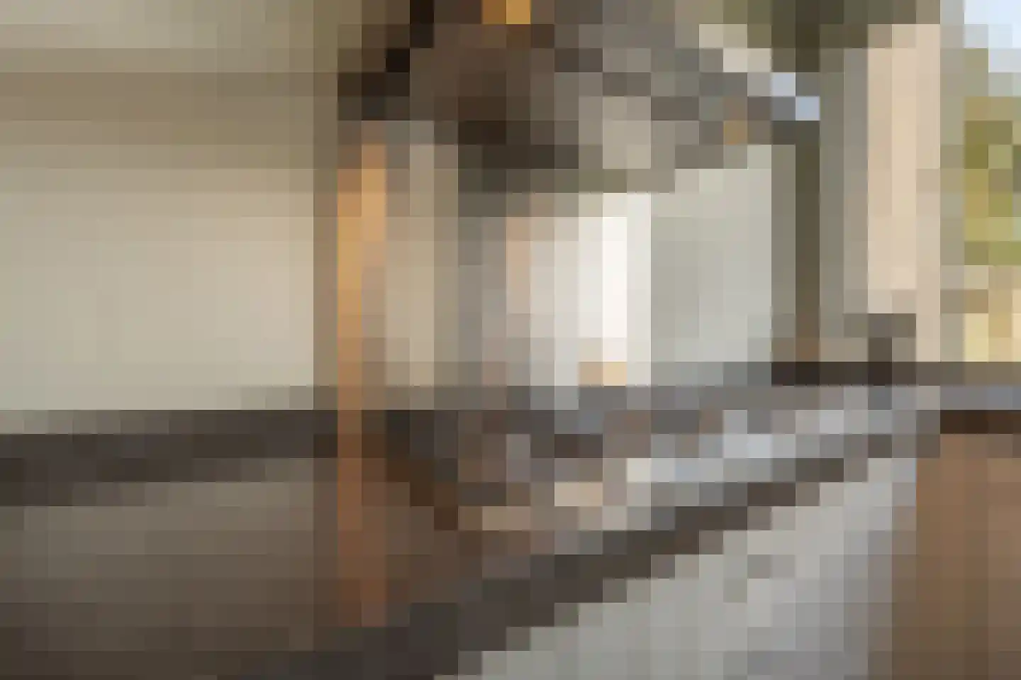 Blauwesteenweg 2 Mijnsheerenland thumbnail 17