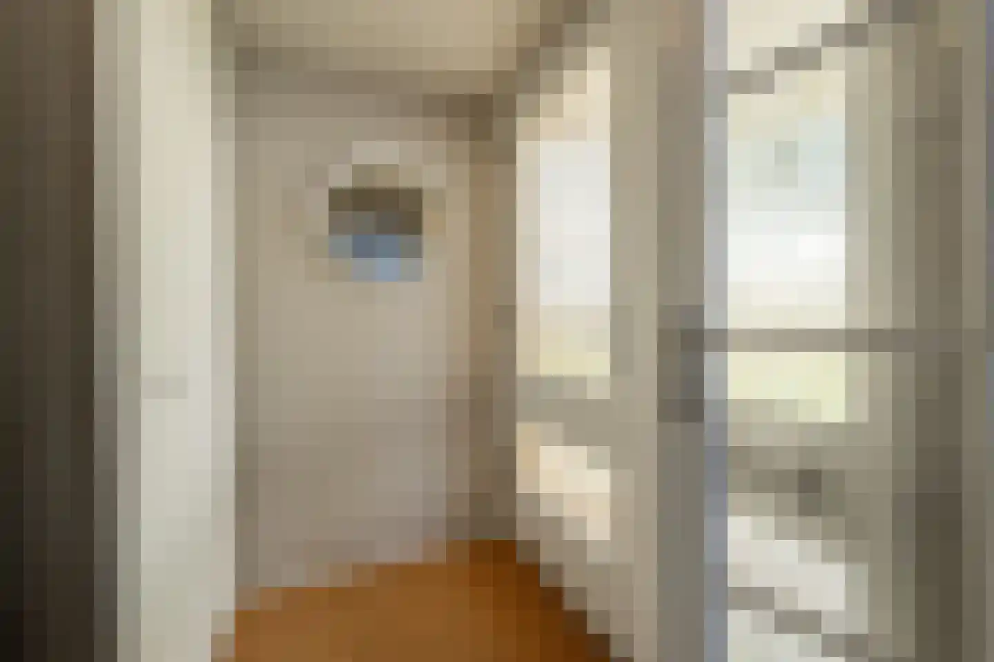 Blauwesteenweg 2 Mijnsheerenland thumbnail 19
