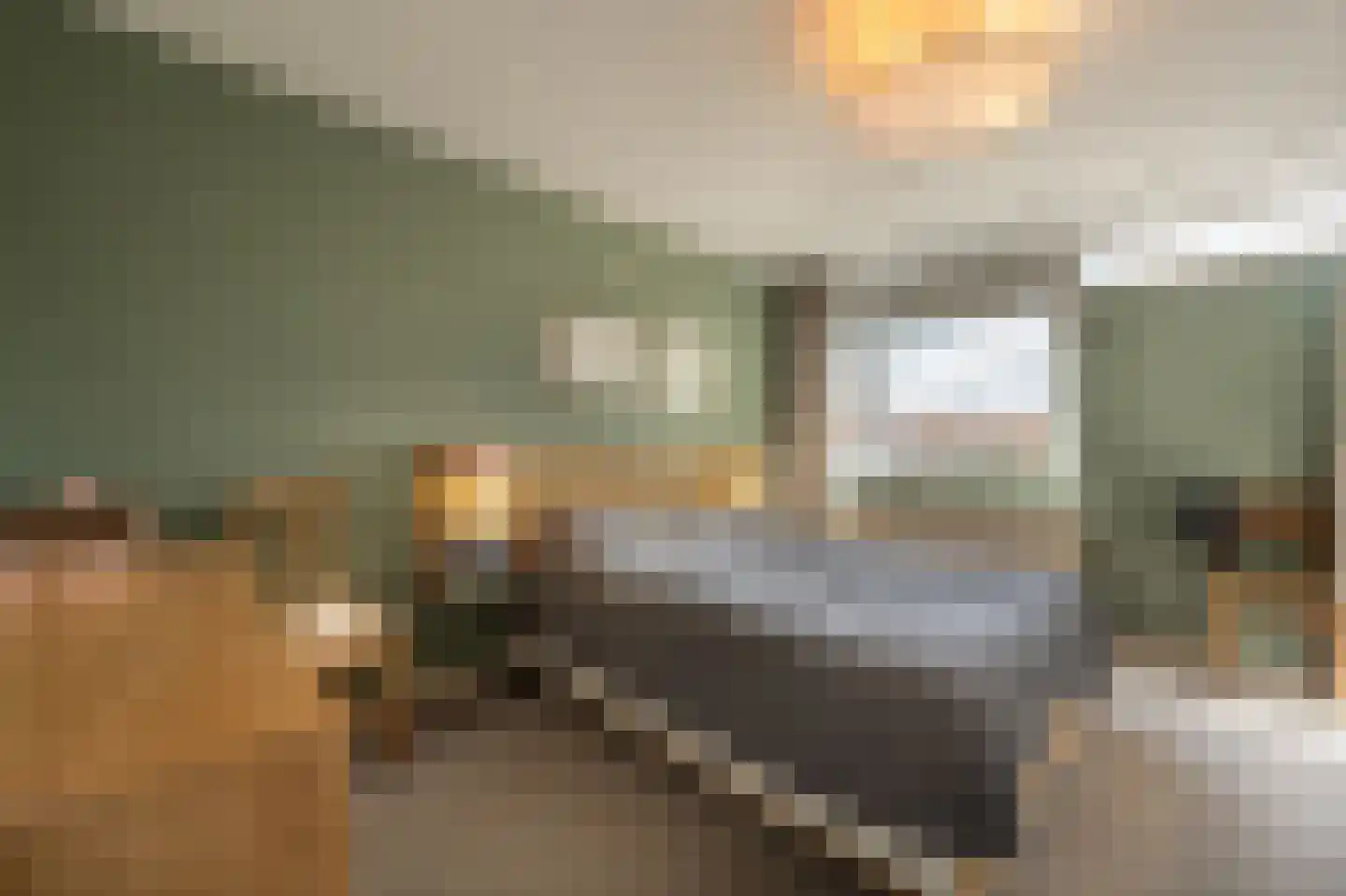 Blauwesteenweg 2 Mijnsheerenland thumbnail 20