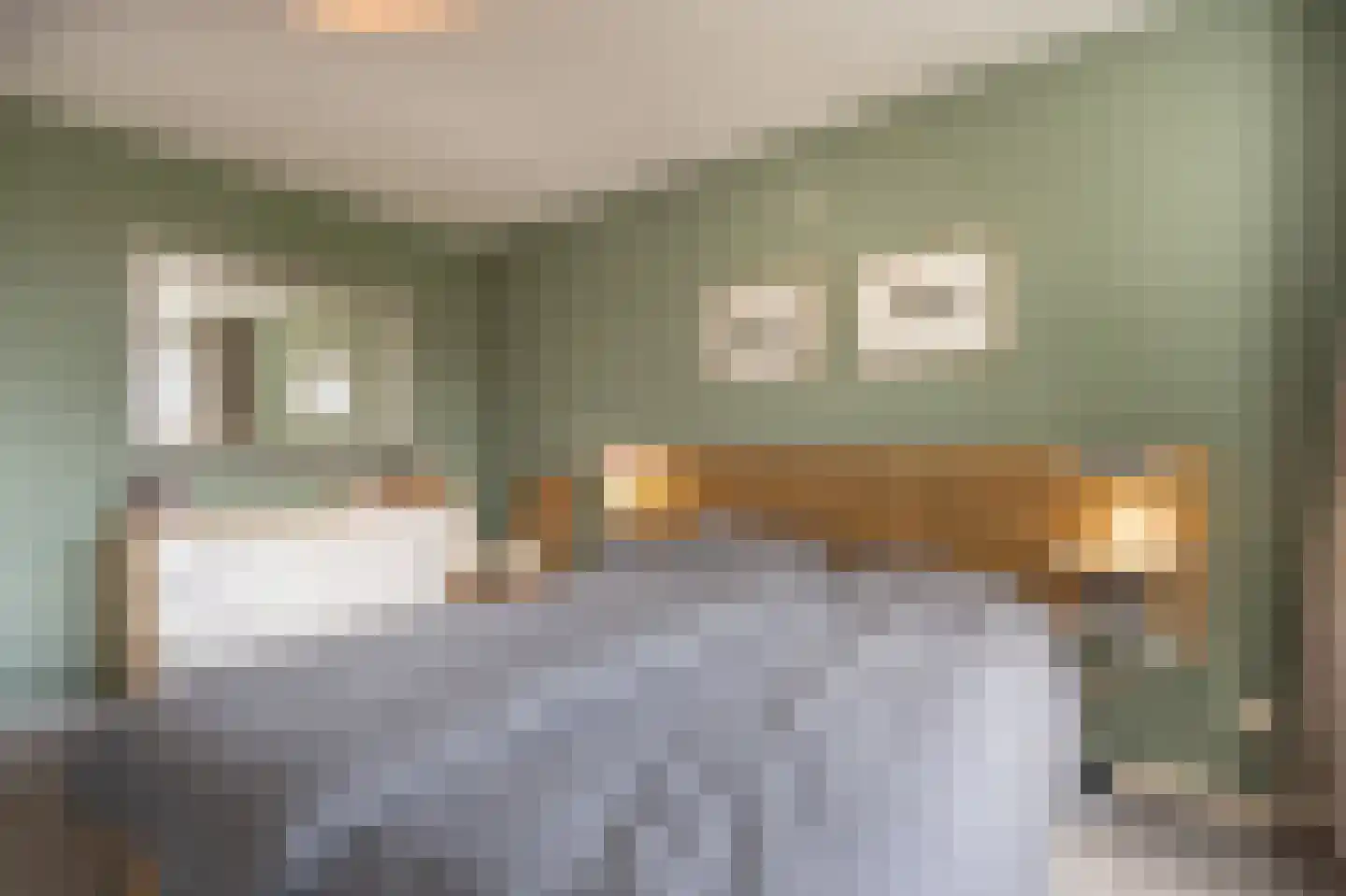 Blauwesteenweg 2 Mijnsheerenland thumbnail 21