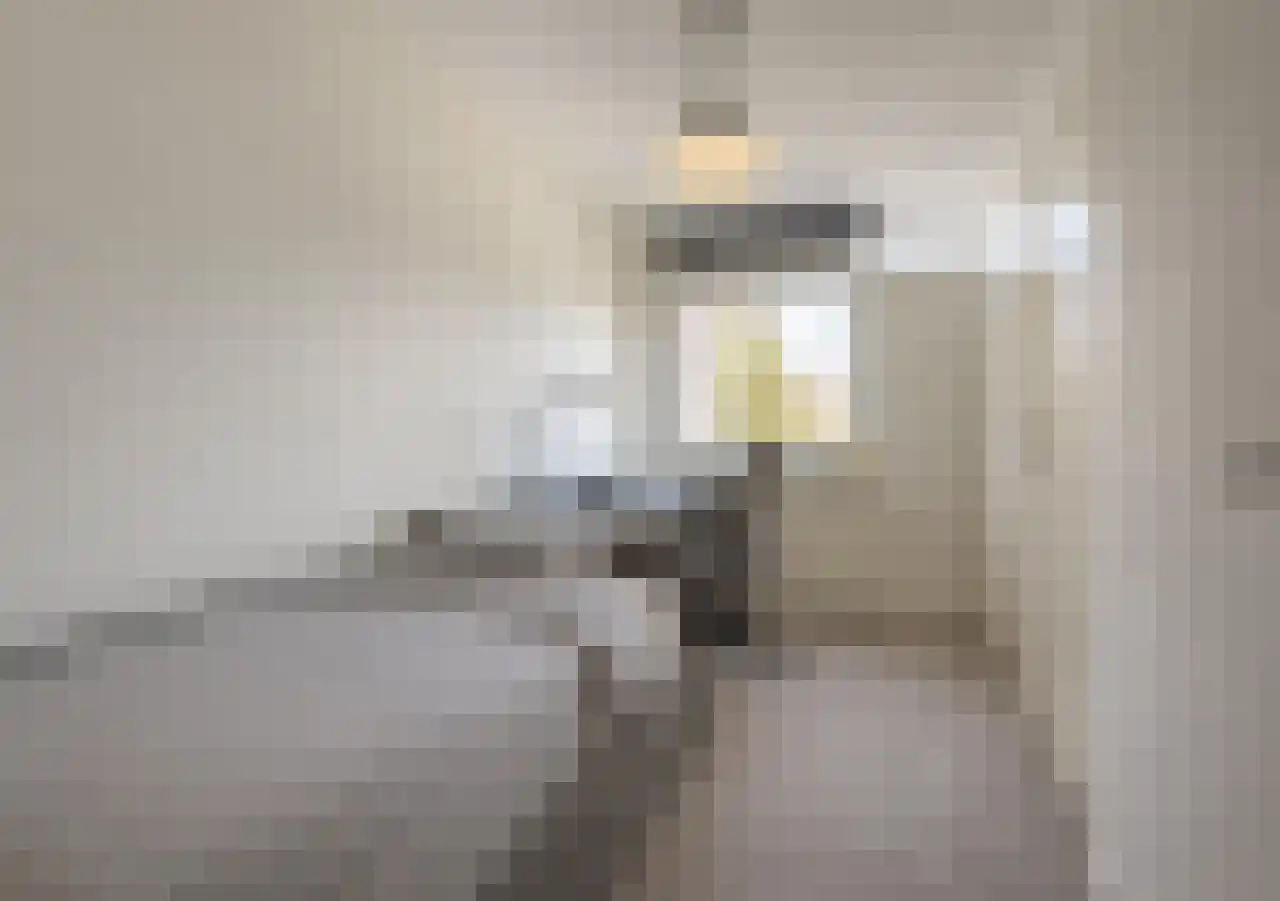 Blauwesteenweg 2 Mijnsheerenland thumbnail 25