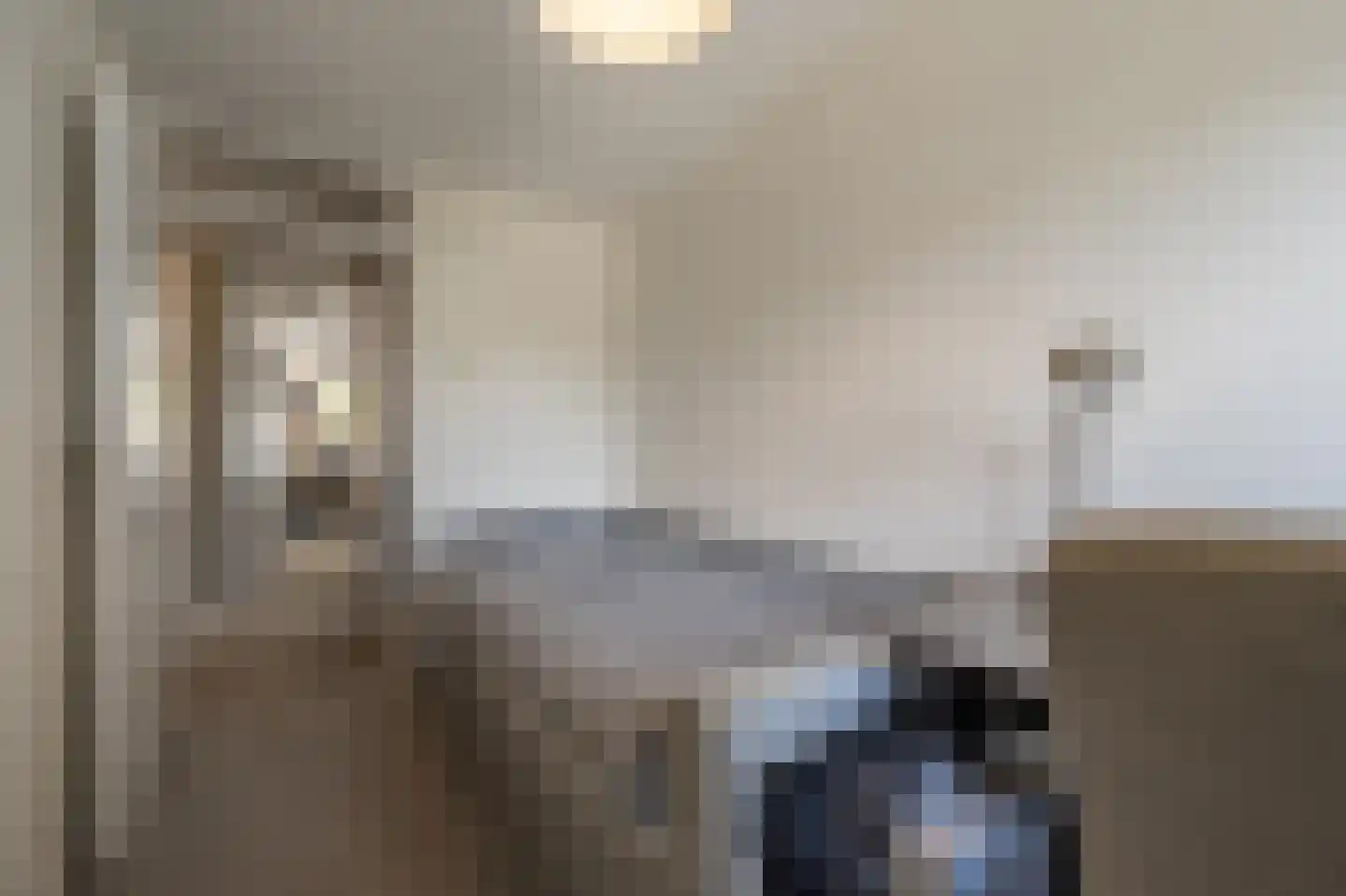 Blauwesteenweg 2 Mijnsheerenland thumbnail 26