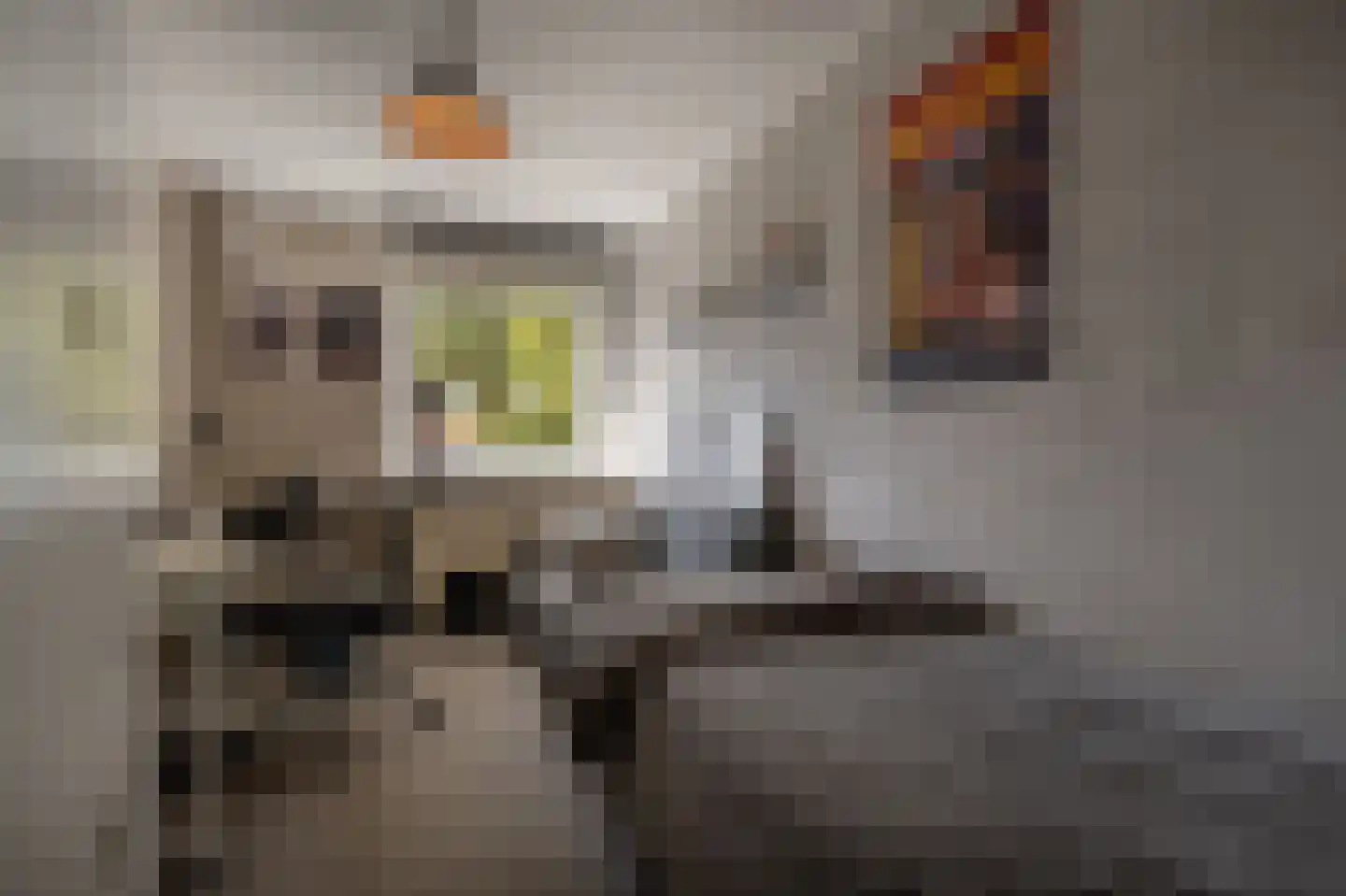 Blauwesteenweg 2 Mijnsheerenland thumbnail 27