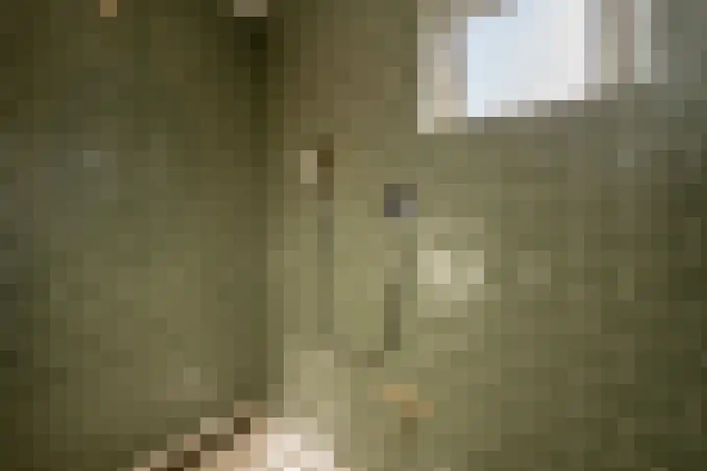 Blauwesteenweg 2 Mijnsheerenland thumbnail 31