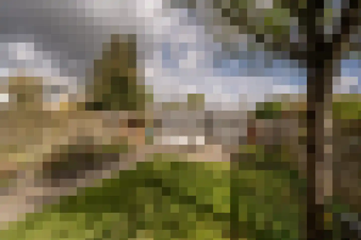 Blauwesteenweg 2 Mijnsheerenland thumbnail 34