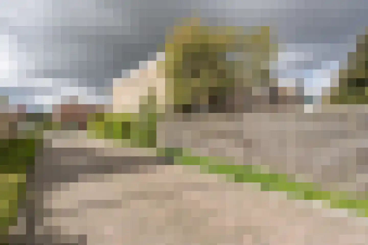 Blauwesteenweg 2 Mijnsheerenland thumbnail 36