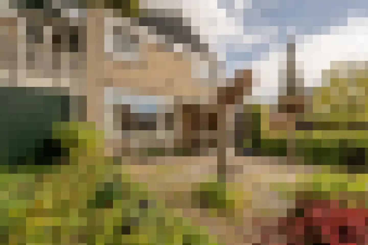 Blauwesteenweg 2 Mijnsheerenland thumbnail 38