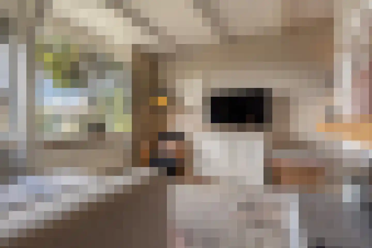 Blauwesteenweg 2 Mijnsheerenland thumbnail 5