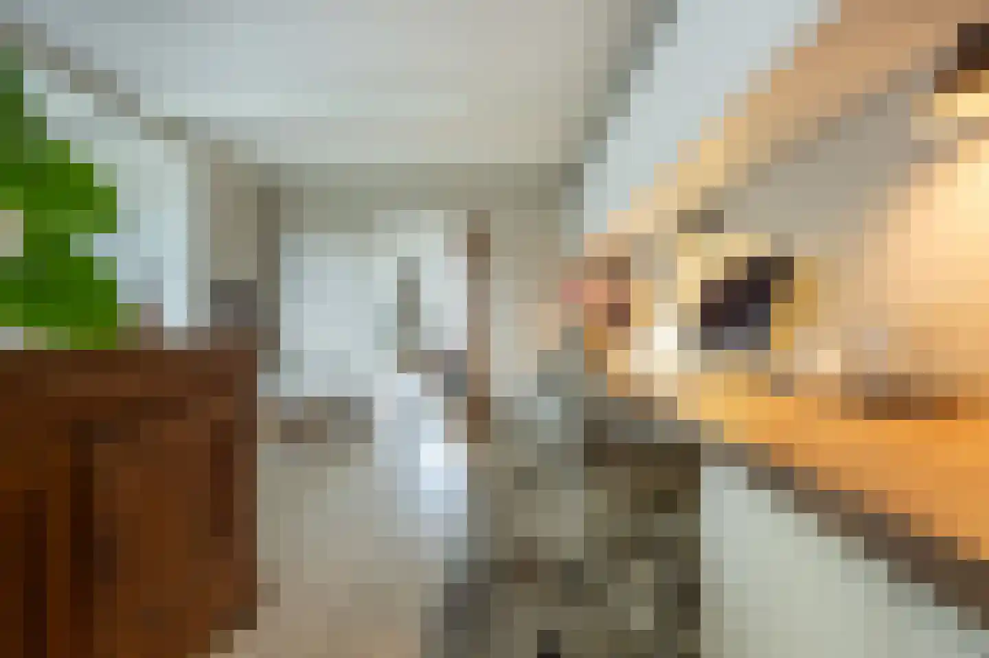 Blauwesteenweg 2 Mijnsheerenland thumbnail 6