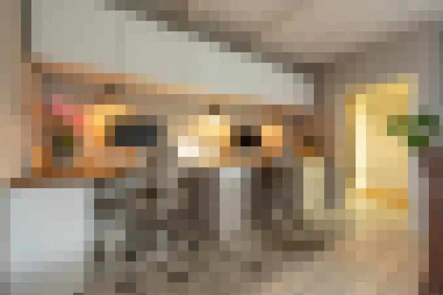 Blauwesteenweg 2 Mijnsheerenland thumbnail 7