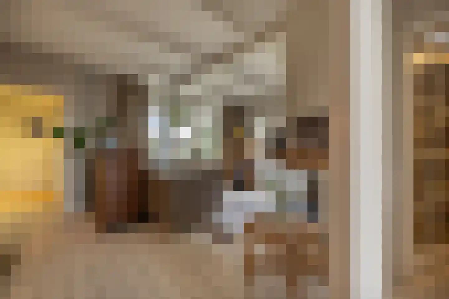 Blauwesteenweg 2 Mijnsheerenland thumbnail 8