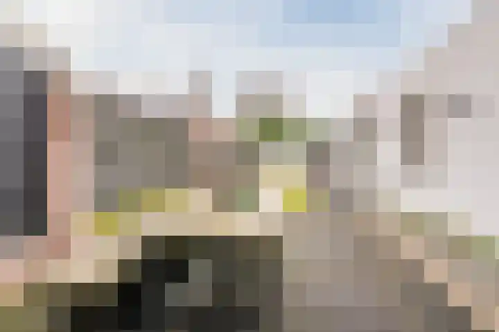 Blauwesteenweg 75 Nistelrode thumbnail 34