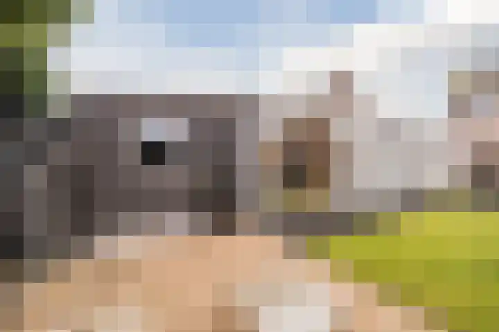 Blauwesteenweg 75 Nistelrode thumbnail 36