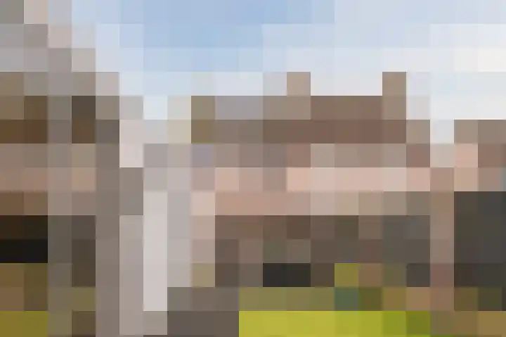 Blauwesteenweg 75 Nistelrode thumbnail 40