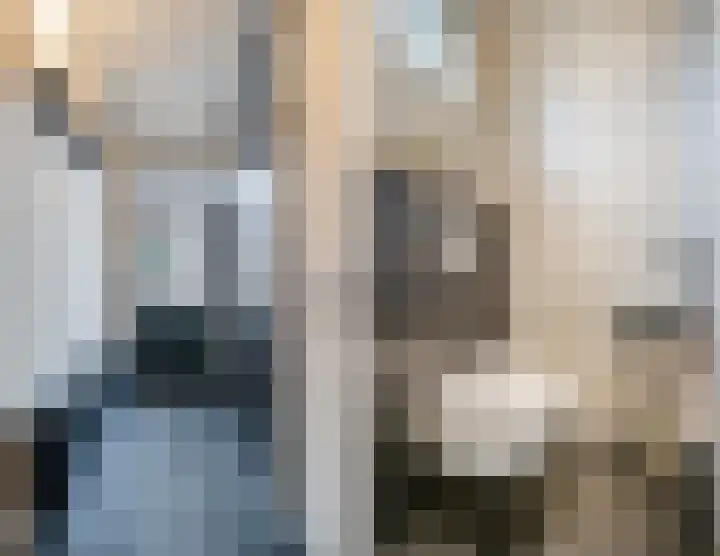 Blauwesteenweg 75 Nistelrode thumbnail 7