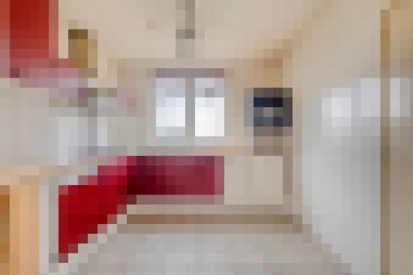 Blauwewijk 12 Wolphaartsdijk thumbnail 11