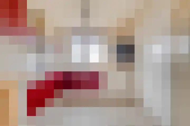 Blauwewijk 12 Wolphaartsdijk thumbnail 11