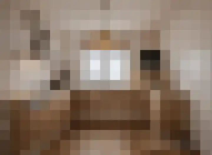 Blauwewijk 12 Wolphaartsdijk thumbnail 12
