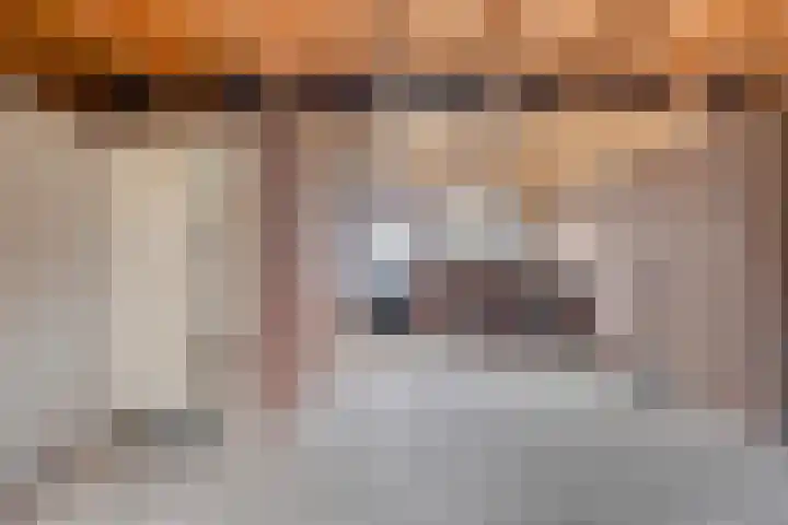Blauwewijk 12 Wolphaartsdijk thumbnail 15