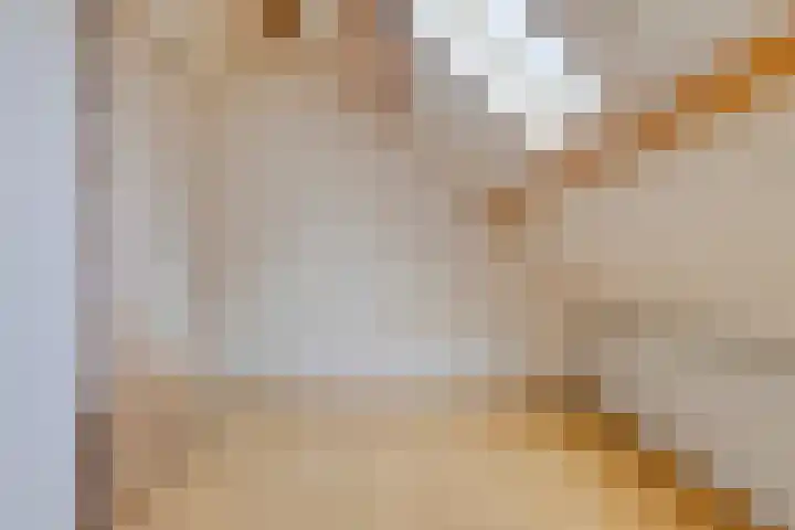 Blauwewijk 12 Wolphaartsdijk thumbnail 17