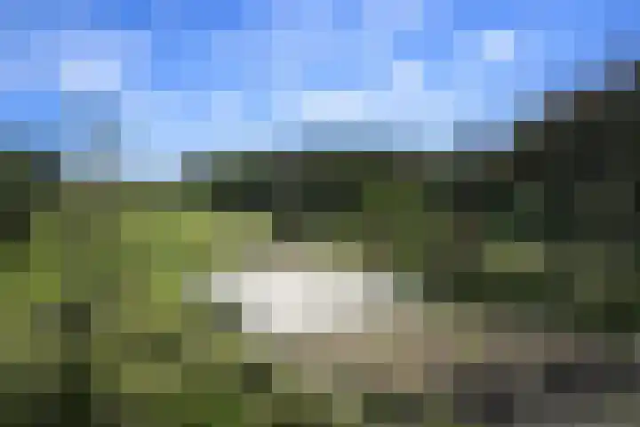 Blauwewijk 12 Wolphaartsdijk thumbnail 34